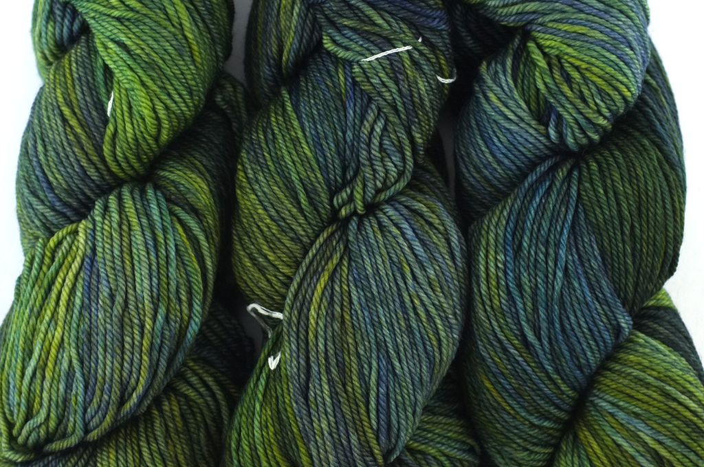 Malabrigo Rios in color Hojas, Merino Wool Worsted Weight Knitting Yarn, leafy greens, #880 by Red Beauty Textiles